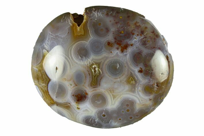 Polished Ocean Jasper Stone - New Deposit #293678